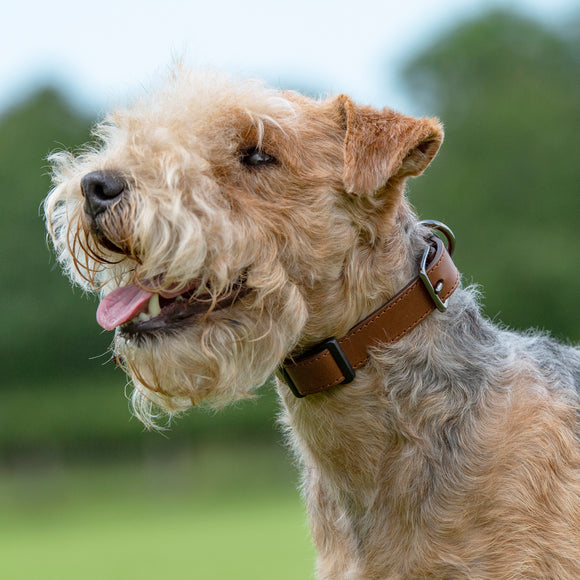 Bioflow Magnetic Dog Collar Brown Leather